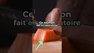 Ce saumon fait en laboratoire #innovation