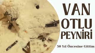 VAN OTLU PEYNİRİ