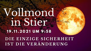 Stier Vollmond ~ Die einzige Sicherheit ist die Veränderung