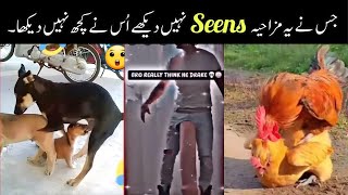 FUNNIEST ANIMAL MOMENTS CAUGHT ON CAMERA | FUN WITH ASAD