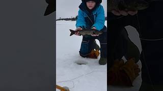 One more day and we’re ice bound 🧊 🎣 #icefishing #maine #northernmaine