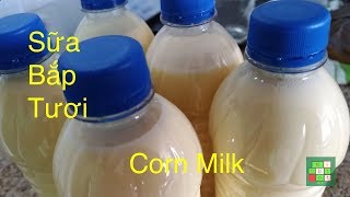 Making fresh and delicious corn milk | Cách Làm Sữa Bắp Tươi và rất ngon -  #117