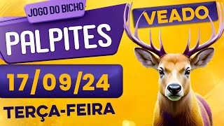 PALPITE DO DIA 17/09/2024 - JOGO DO BICHO 🍀 TODAS AS LOTERIAS 🍀