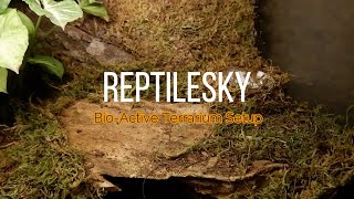 Bio-Active Terrarium Setup from Reptilesky