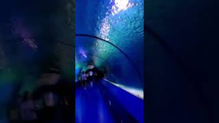 ANTALYA AQUARIUM