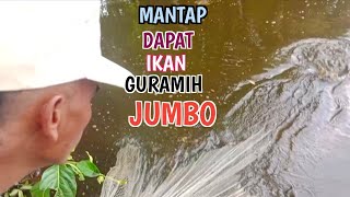 mantap jala ikan saat banjir dapat ikan GURAMIH jumbo