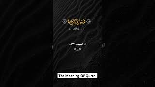 Melodius Quran Recitation 102 At-Takathur | Best Urdu Translation YouTube channel | #youtubeshorts 🎧