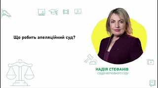 Що робить апеляційний суд?