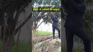 Day -5 (आंवले की दातुन) आओ लौटे प्रकृति की ओर #myupchar #healthy #alternativemedicine