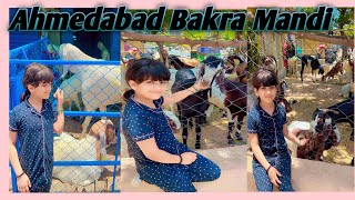 Chandola Talab Bakra Mandi Ahmedabad ||Meri Height se bde Bakre 🤗 parinaaz Khan vlog