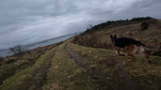 German shepherd on walk. Eros på tur. 08.12.2024. still you tubes most boring video part 1.