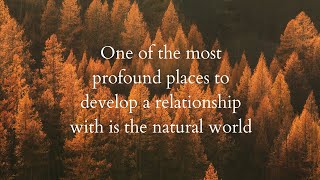 One of the most profound places to develop a relationship with is the natural world