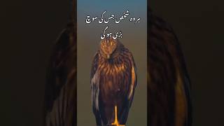 وہ شخص جس کی سوچ بڑی ہوگی #trendingshorts #quotes #youtubeshorts #urduquotes #deepwords #shorts