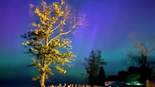 5/11/2024 the SPECTACULAR Northern Lights over Lake Erie!😍😍😍