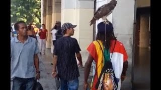 Guy with a hawk on his head walks through havana