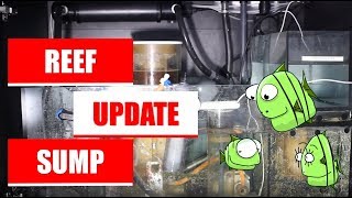 Reef Update 4/18 - Technikbecken