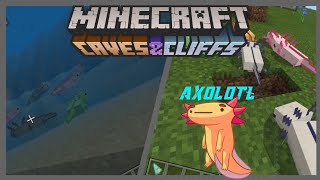 AXOLOTL (ADDON MCPE) MOB BARU YANG DITAMBAHKAN DI MINECRAFT CAVES & CLIFFS UPDATE!!