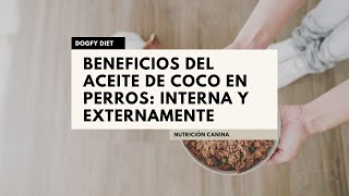 Aceite de coco en perros🥥: Beneficios