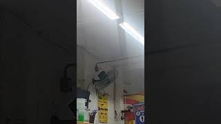 ventilador de parede oscilante da venti-delta #shortvideo