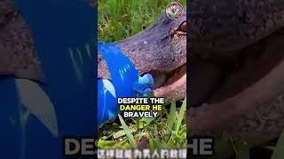 Emotional Rescue of Injured Crocodile Struggling with Deep Hook in the Forest