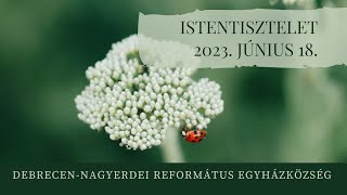 Istentisztelet 2023. 06. 18. Debrecen-Nagyerdei Református Egyházközség