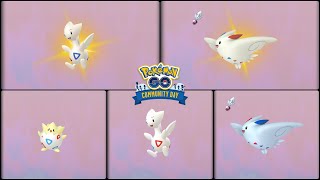 Pokemon Go: Evolving Normal Togepi into Normal & Shiny Togetic & Togekiss (CommunityDay Aura Sphere)