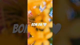 Já agradeceu hoje? #bomdia #flores #viral #fy #gratidão #diabom #deusnocontrole #vidaboahoje #amor