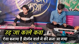 ud ja kale kava उड़ जा काले कवा || Organ Mix Pad New Song || #benjopad 9131923435