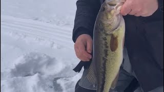 Nothing but bass! Ice fishing