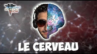 ANATOMIE : LE CERVEAU 🧠