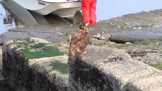 March 23 2014 - at the Boat Launch