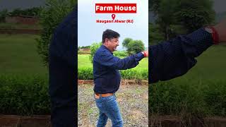 Farm House Land l Farm Land l Near Gurgaon & Delhi-Mumbai Expressway l #farmhouse #farmland #farming