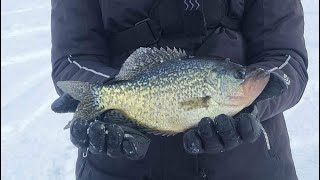 Maine ice fishing Ellis Pond Operation Reboot derby