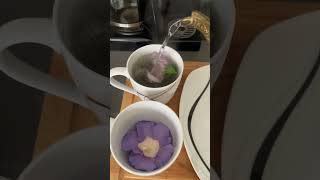 Rose Of Sharon Tea Time For Two! #asmr #health #drink