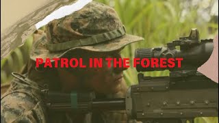 Guardians of the Green: A Day in the Forest Patrol