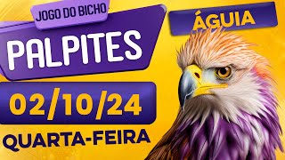 PALPITE DO DIA 02/10/2024 - JOGO DO BICHO 🍀 TODAS AS LOTERIAS 🍀