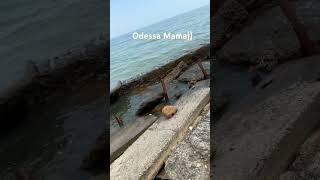 Odessa Mama)) #odessa #beach #ukrainewar