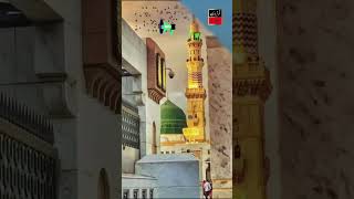 #Madina chor aye hain #new #marhaba #religion #foryou #islamicvideo #islamic #shortvideo