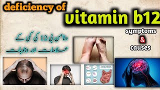 vitamin b12 deficiency,symptoms,causes|vitamin b12 ki kami se kya hota hai|medical knowledge pk