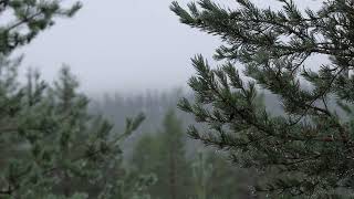 Finnish Female Choir TAIKA - One Finnished, Swedish Moment