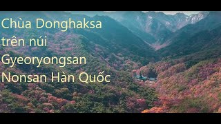 Nonsan  han quoc