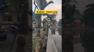 bebas mancing situ cilodong depok #mancing #ikan