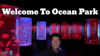 The Amazing Ocean Park