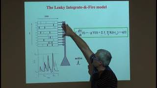 Remi Monasson - “Inference of interactions in assemblies of stochastic integrate-and-fire neurons