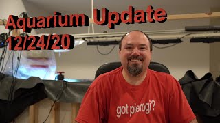 Aquarium Update 12/24/20