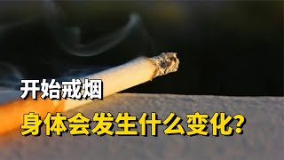 如果你開始戒煙，身體將會發生哪些變化？