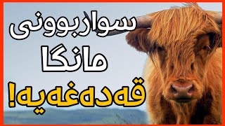 ٨ سەیرترین یاسا جیهانیەکان کە باوەڕ ناکەیت بوونیان هەیە!