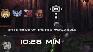 MHW | White Winds of the New World Solo Hammer "10:28"