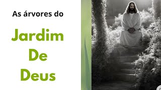 As árvores do jardim de Deus - Parte 1