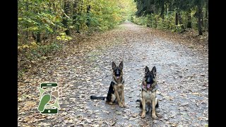 Losloopgebied Noordbargerbos zuid te Emmen